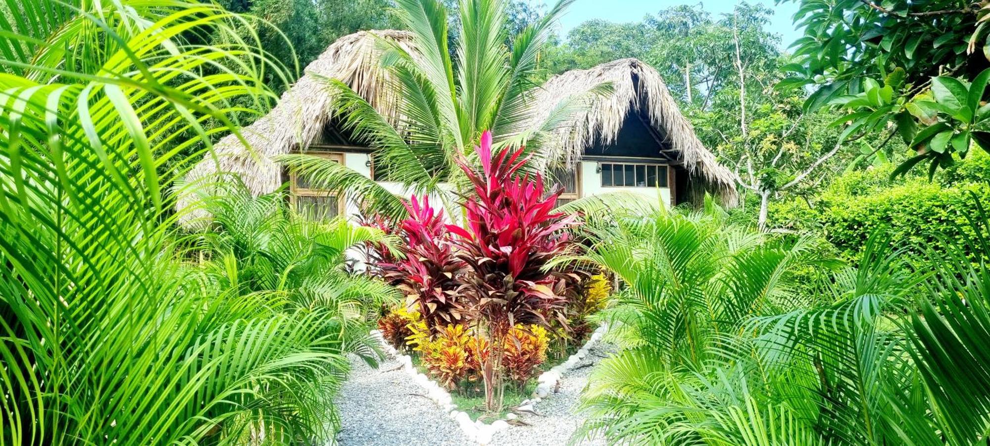 Encanto Hostel Guachaca Eksteriør bilde